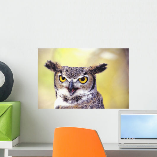 Close up of face of Great Horned Owl Wall Mural