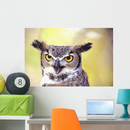 Close up of face of Great Horned Owl Wall Mural