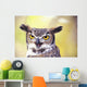 Close up of face of Great Horned Owl Wall Mural