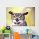 Close up of face of Great Horned Owl Wall Mural
