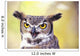 Close up of face of Great Horned Owl Wall Mural