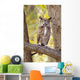 View of Brown Great Horned Owl sitting in Cottonwood tree Wall Mural