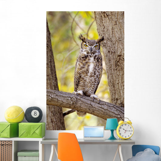 View of Brown Great Horned Owl sitting in Cottonwood tree Wall Mural