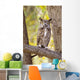 View of Brown Great Horned Owl sitting in Cottonwood tree Wall Mural