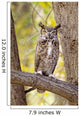 View of Brown Great Horned Owl sitting in Cottonwood tree Wall Mural