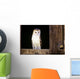 View Of A White Faced Barn Owl Sitting In Window Of Barn Wall Mural