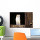 View Of A White Faced Barn Owl Sitting In Window Of Barn Wall Mural