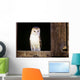 View Of A White Faced Barn Owl Sitting In Window Of Barn Wall Mural