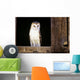 View Of A White Faced Barn Owl Sitting In Window Of Barn Wall Mural