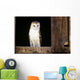 View Of A White Faced Barn Owl Sitting In Window Of Barn Wall Mural