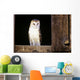 View Of A White Faced Barn Owl Sitting In Window Of Barn Wall Mural