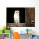 View Of A White Faced Barn Owl Sitting In Window Of Barn Wall Mural