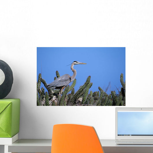 Closeup Of A Great Blue Heron On A Nest In Cactus Wall Mural