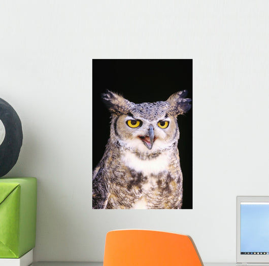 Great Horned Owl Wall Mural