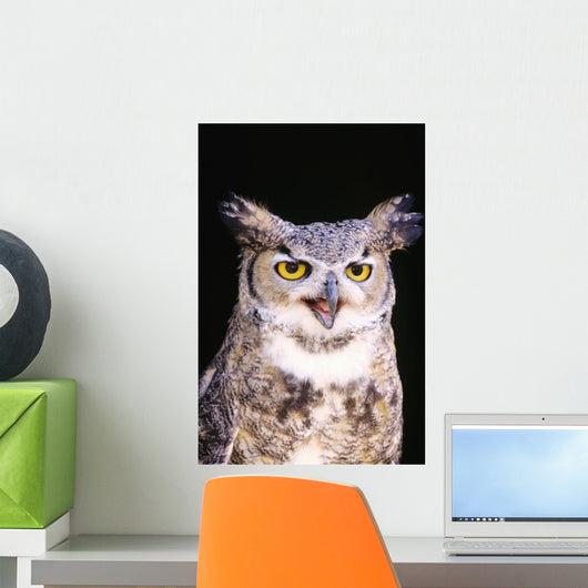 Great Horned Owl Wall Mural