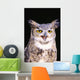 Great Horned Owl Wall Mural