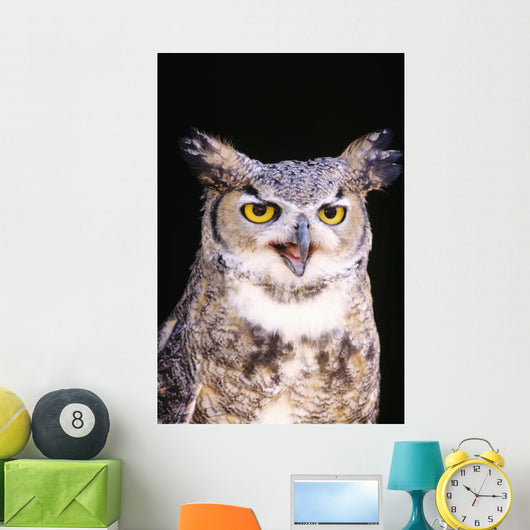 Great Horned Owl Wall Mural