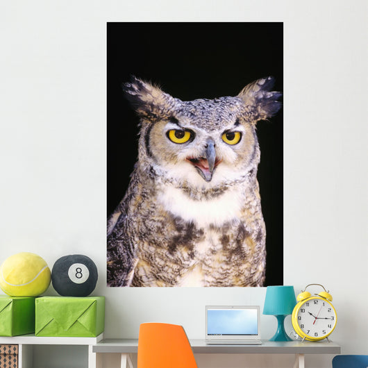 Great Horned Owl Wall Mural