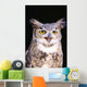 Great Horned Owl Wall Mural