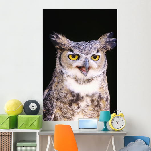 Great Horned Owl Wall Mural