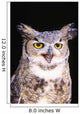 Great Horned Owl Wall Mural