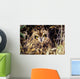 USA, Colorado, Short-Eared Owl Wall Mural