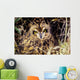 USA, Colorado, Short-Eared Owl Wall Mural