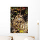 Short-Eared Owl, Asio Flammeus, Front Range, Colorado Wall Mural