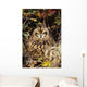 Short-Eared Owl, Asio Flammeus, Front Range, Colorado Wall Mural