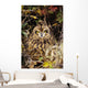 Short-Eared Owl, Asio Flammeus, Front Range, Colorado Wall Mural