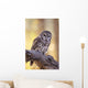 Barred Owl perching on Cottonwood Wall Mural