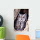 Western Screech Owl in hollow Cottonwood tree Wall Mural