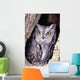 Western Screech Owl in hollow Cottonwood tree Wall Mural