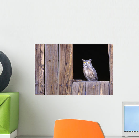 Great Horned Owl in barn window Wall Mural