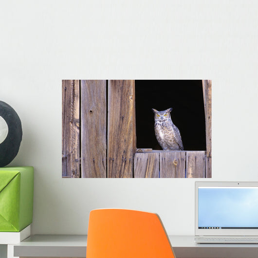 Great Horned Owl in barn window Wall Mural