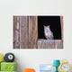 Great Horned Owl in barn window Wall Mural