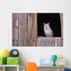 Great Horned Owl in barn window Wall Mural