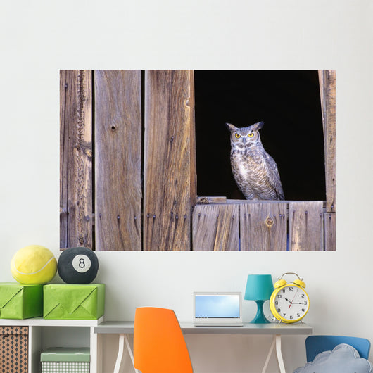 Great Horned Owl in barn window Wall Mural
