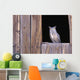 Great Horned Owl in barn window Wall Mural