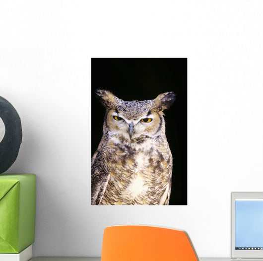 Great Horned Owl Portrait Wall Mural