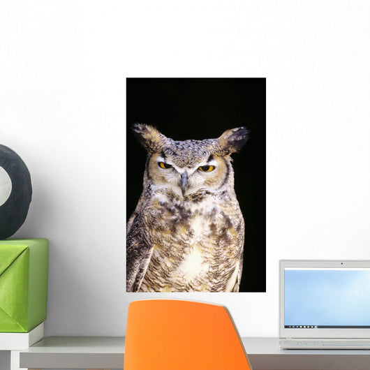 Great Horned Owl Portrait Wall Mural