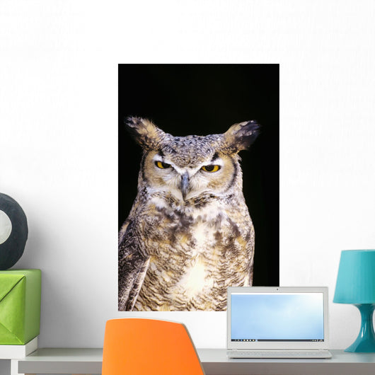 Great Horned Owl Portrait Wall Mural