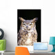 Great Horned Owl Portrait Wall Mural