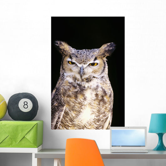 Great Horned Owl Portrait Wall Mural