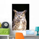 Great Horned Owl Portrait Wall Mural