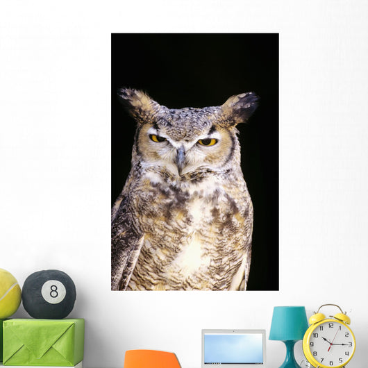 Great Horned Owl Portrait Wall Mural