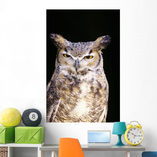Great Horned Owl Portrait Wall Mural