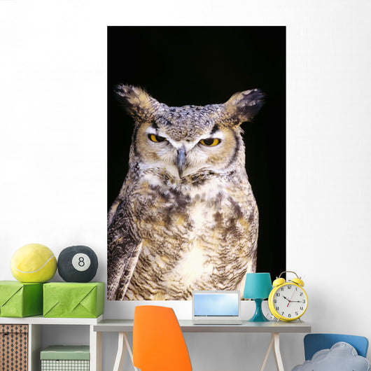Great Horned Owl Portrait Wall Mural
