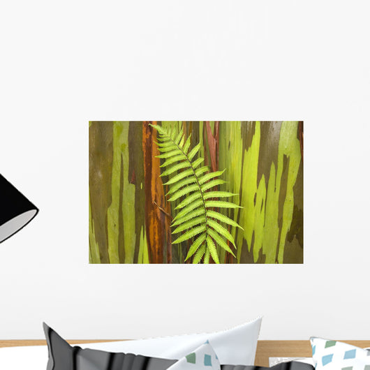 Hawaii, Maui, Hana, Fern And Rainbow Eucalyptus Tree Wall Mural