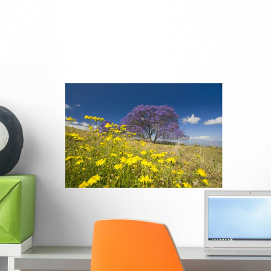 Lavender Blossoms Of Jacaranda Tree Wall Mural